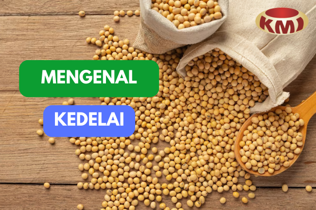 Mengenal Kedelai: Biji Kecil Penuh Nutrisi